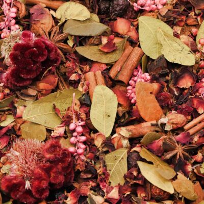 Red Hot Cinnamon Potpourri